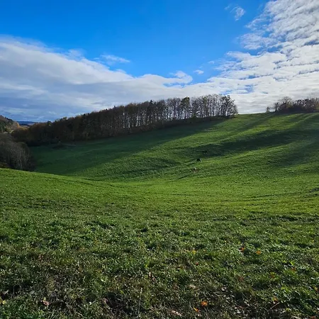 Vrchy *